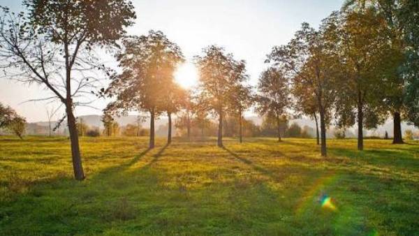 Сьогодні Україну прогріє до +29°