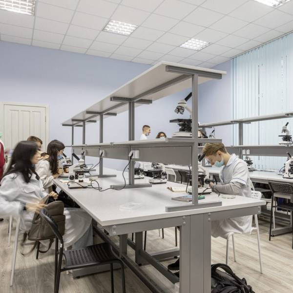 Єнамін: український стартап прискорює розробку ліків та виховує нові кадри для хімічної галузі