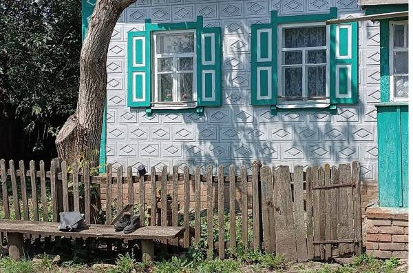 Кияни обирають найбезпечніші міста України для зимівлі: від Переяслава до Ужгорода